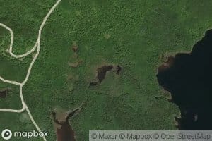 Mud Pond
