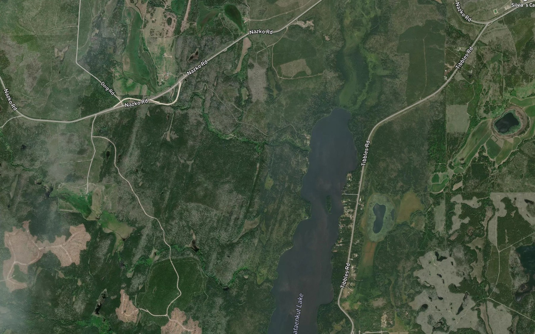 Satellite map of the Puntataenkut Creek