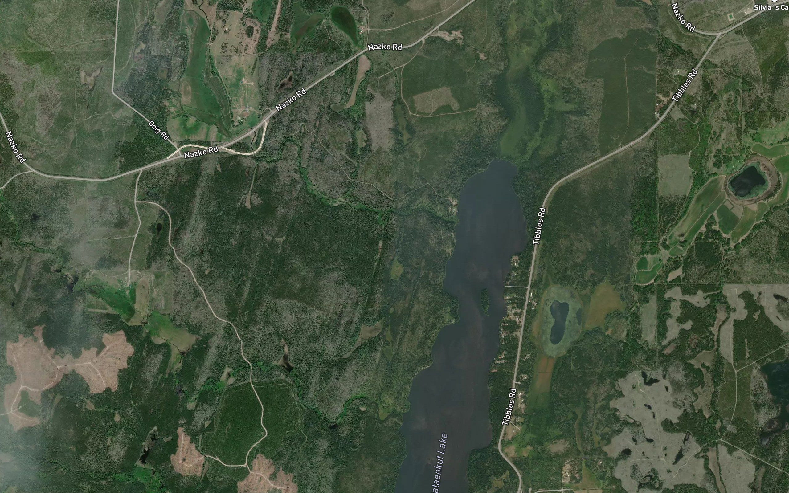 Puntataenkut Creek