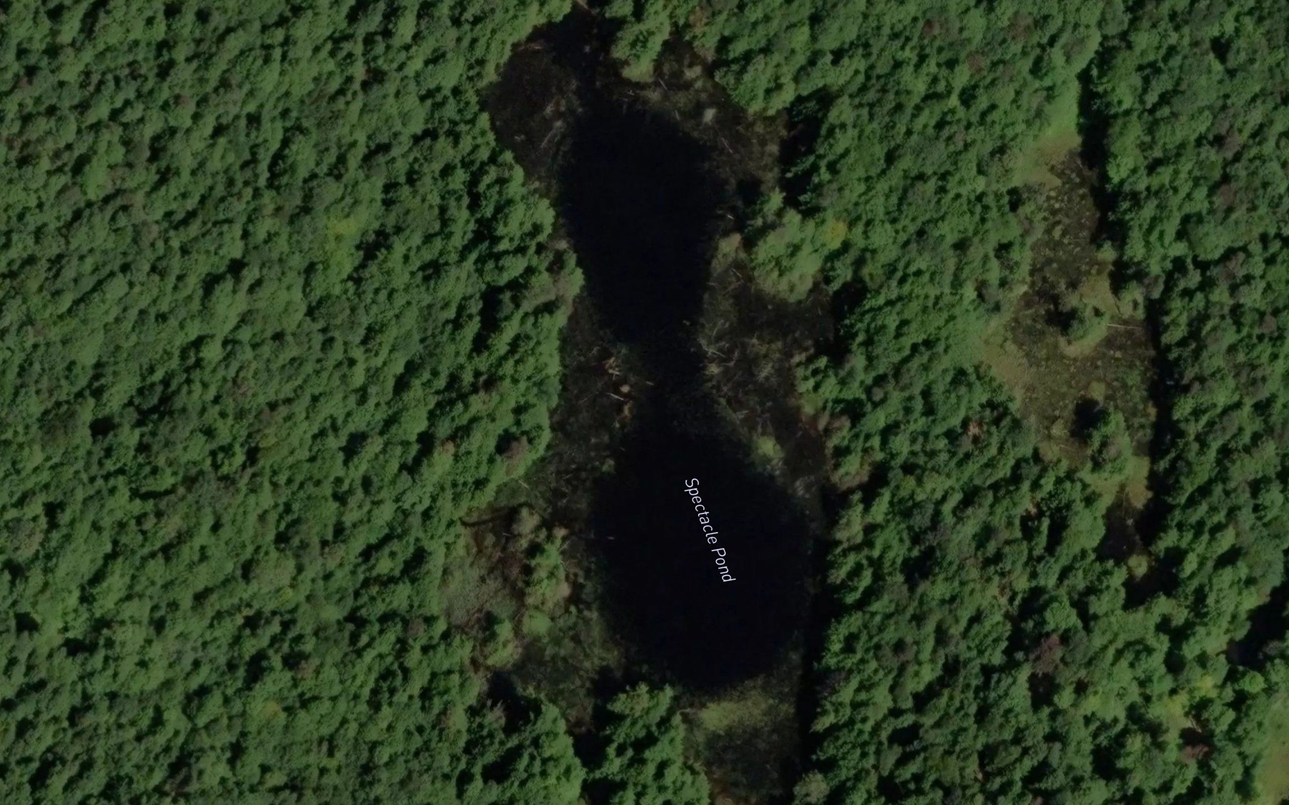 Spectacle Pond