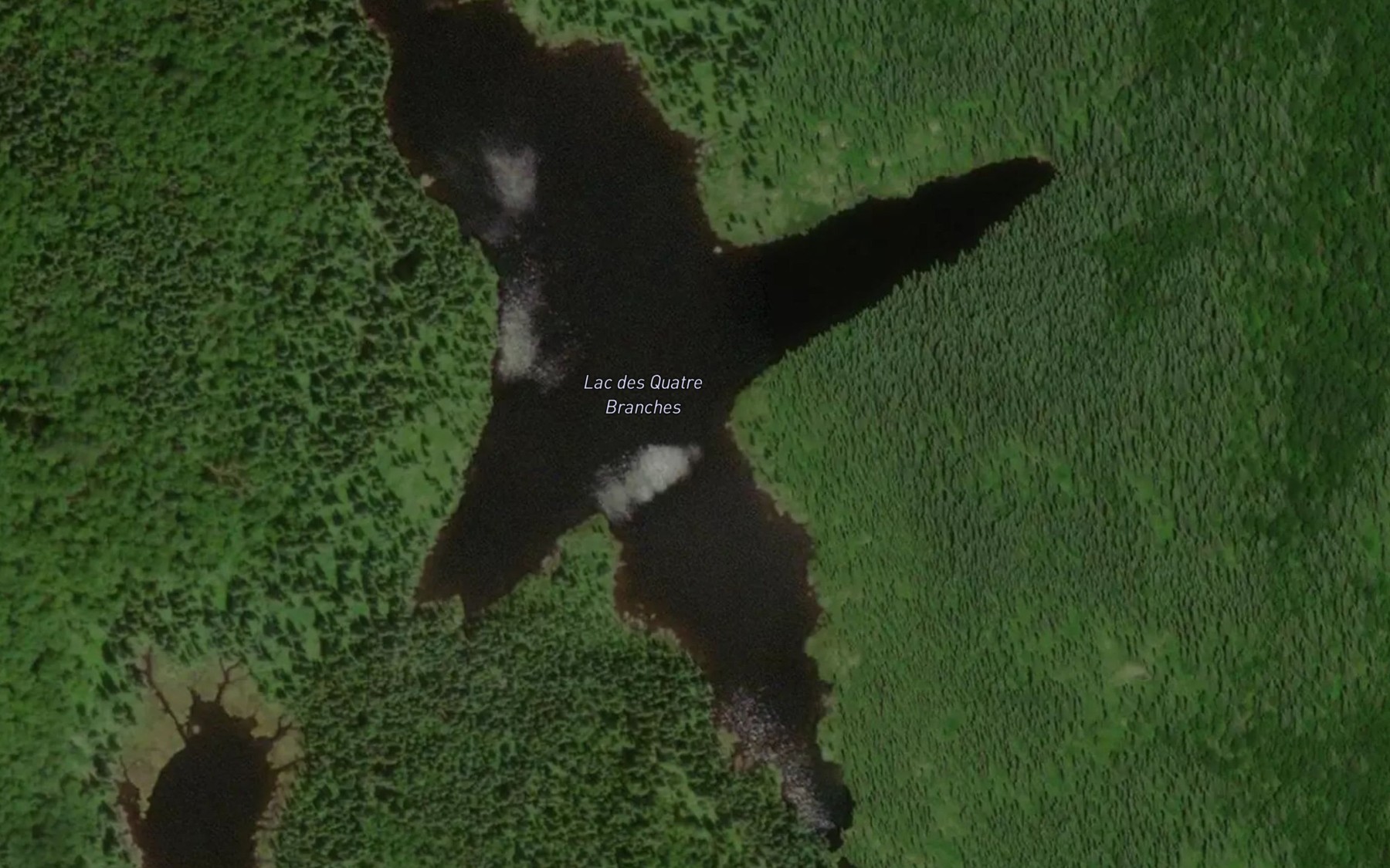Satellite map of the Lac des Quatre Branches