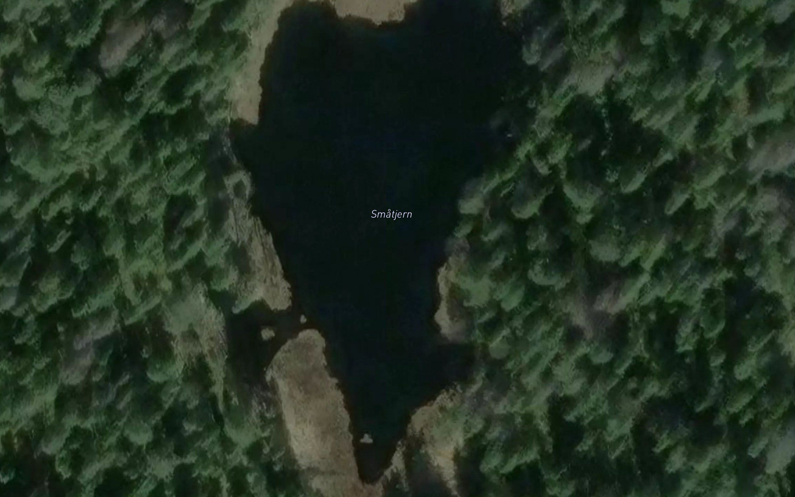 Smatjern