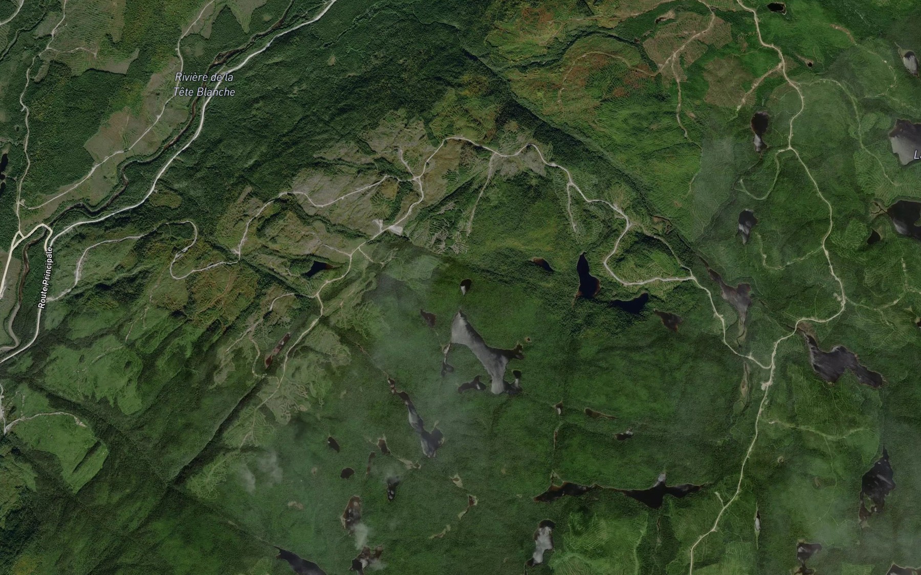 Satellite map of the Lac de la Piqure