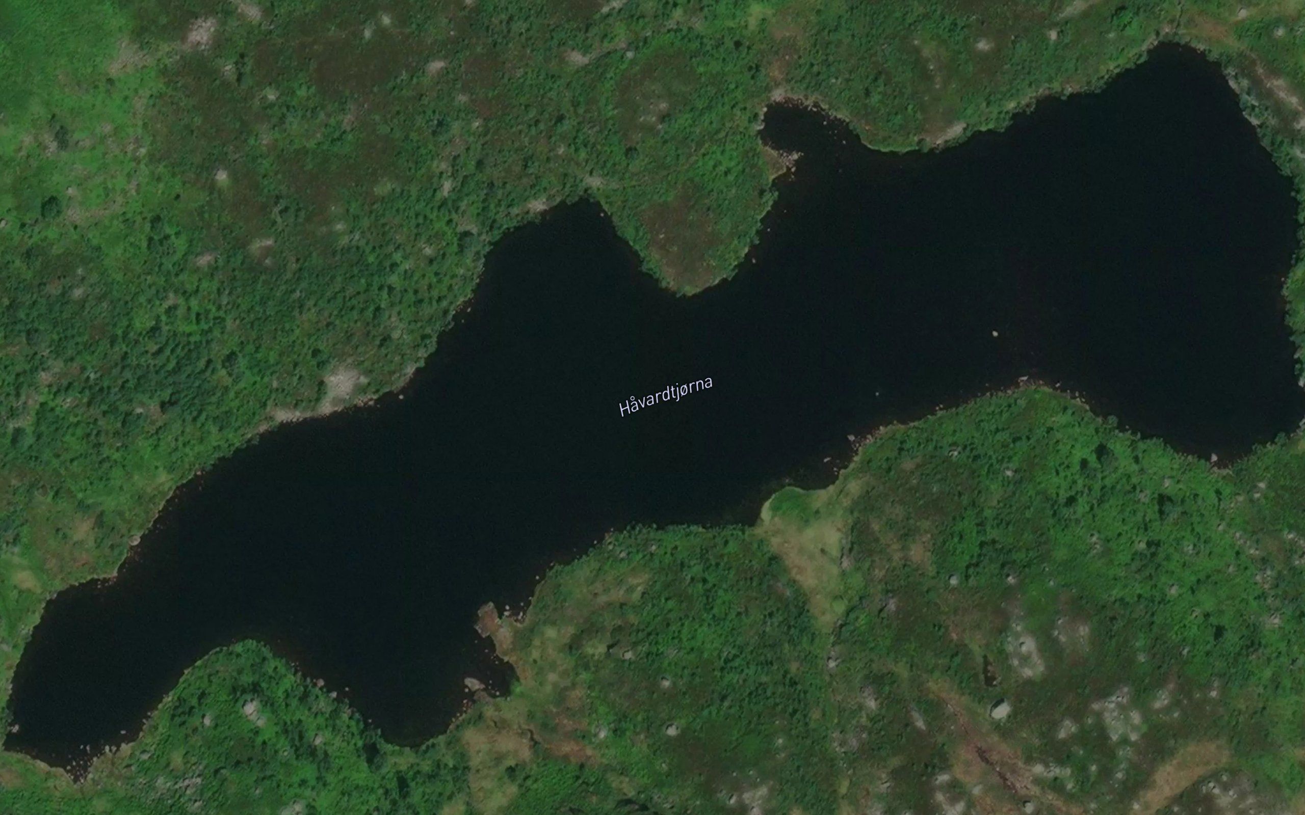 Havardstjorn