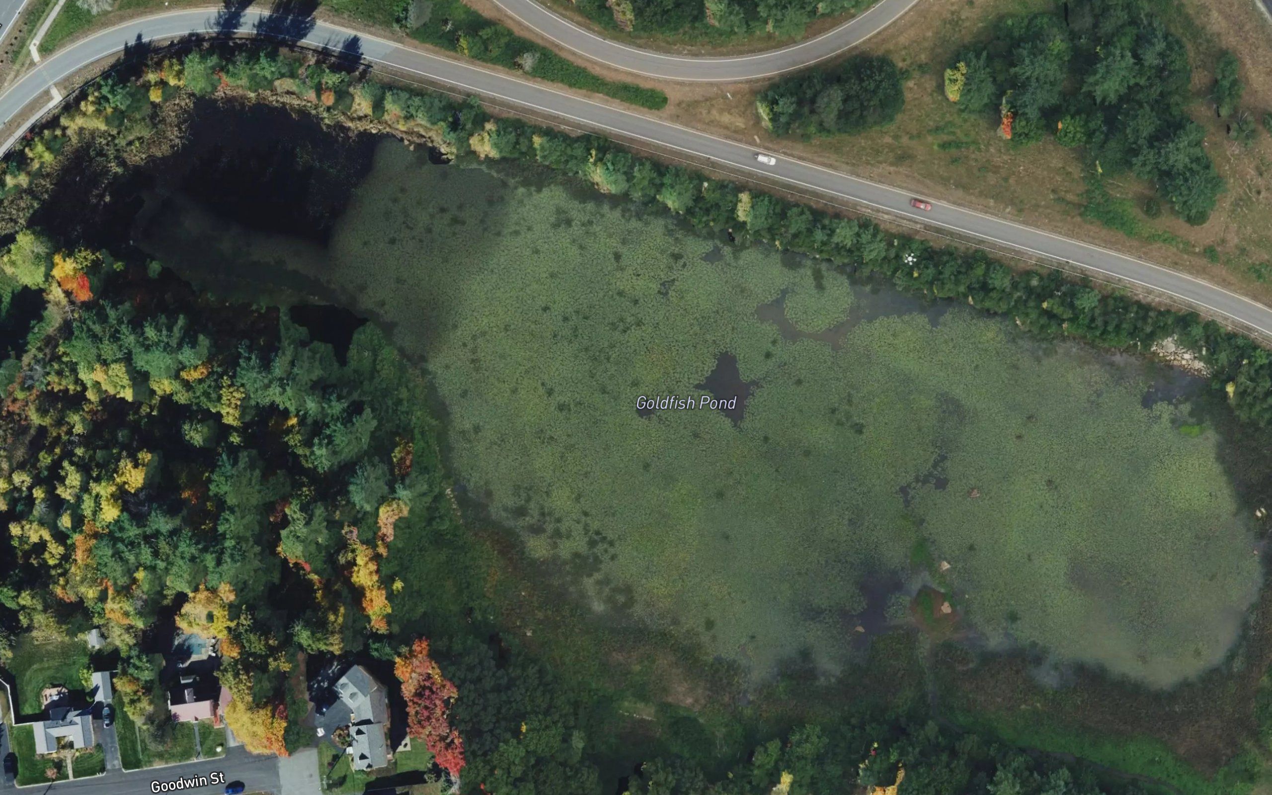 Stevens Pond
