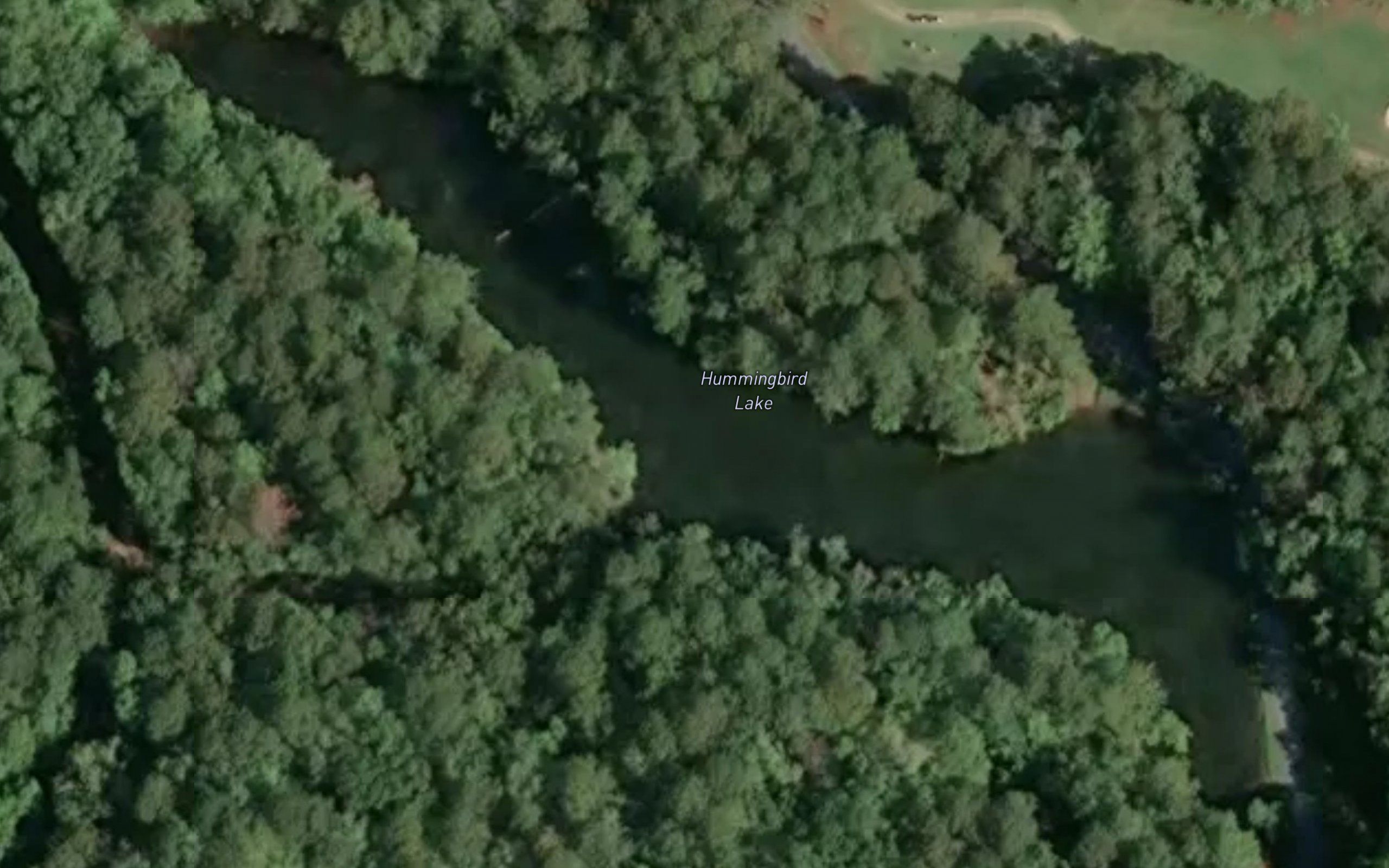 Hummingbird Lake
