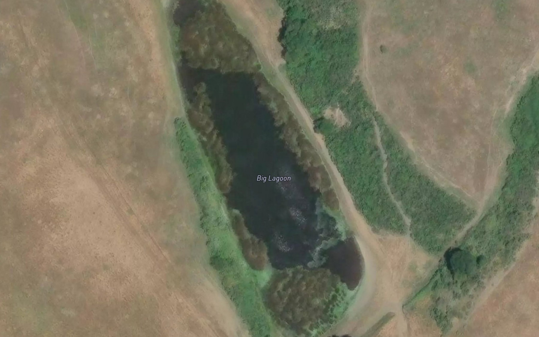 Satellite map of the Big Lagoon