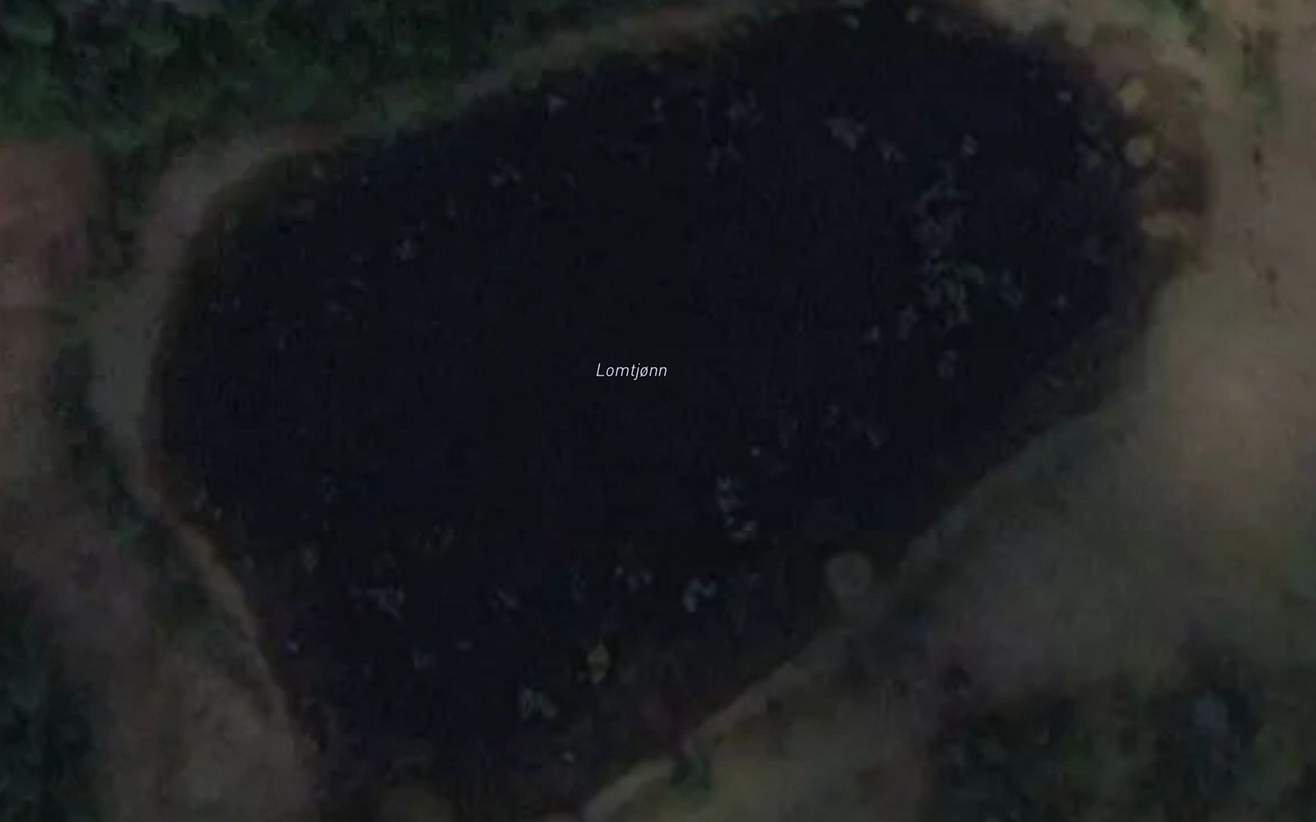 Lomtjorn