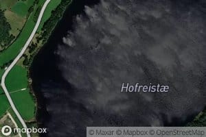 Hofreistae