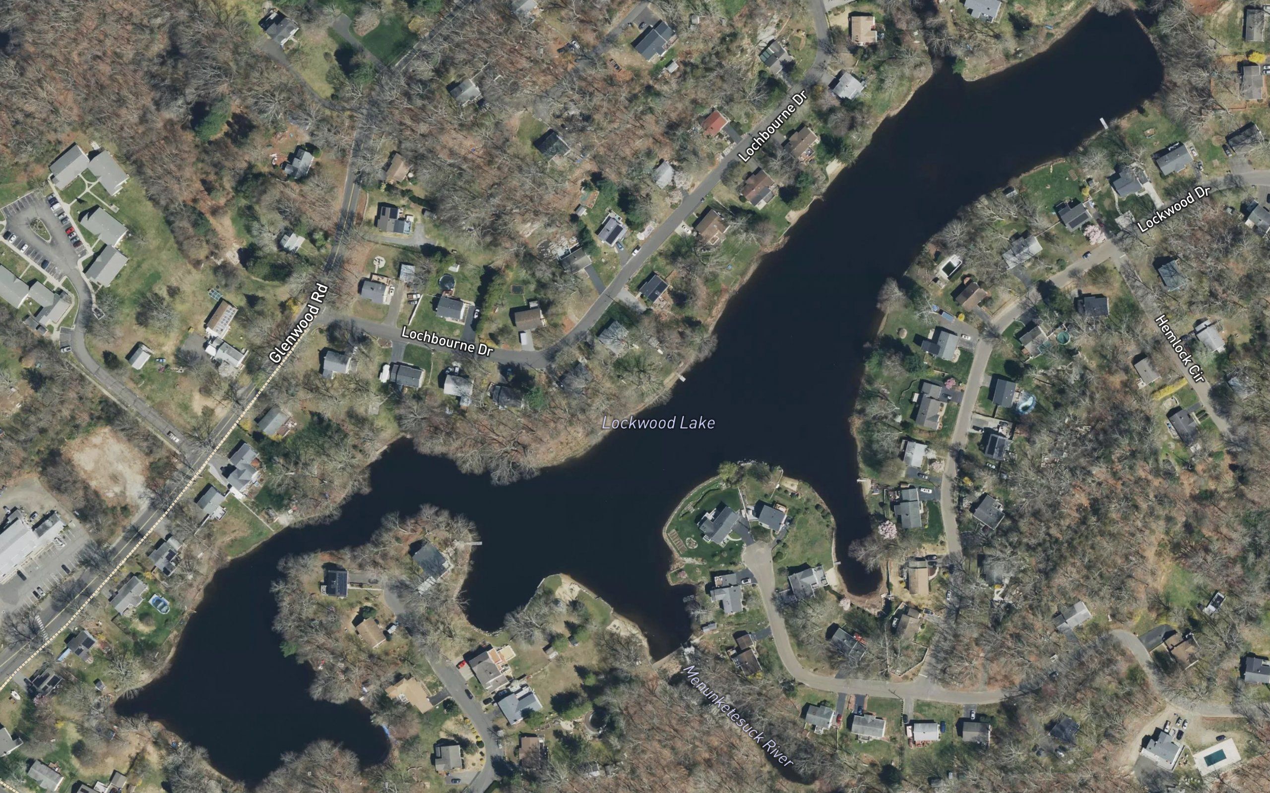 Bushy Pond