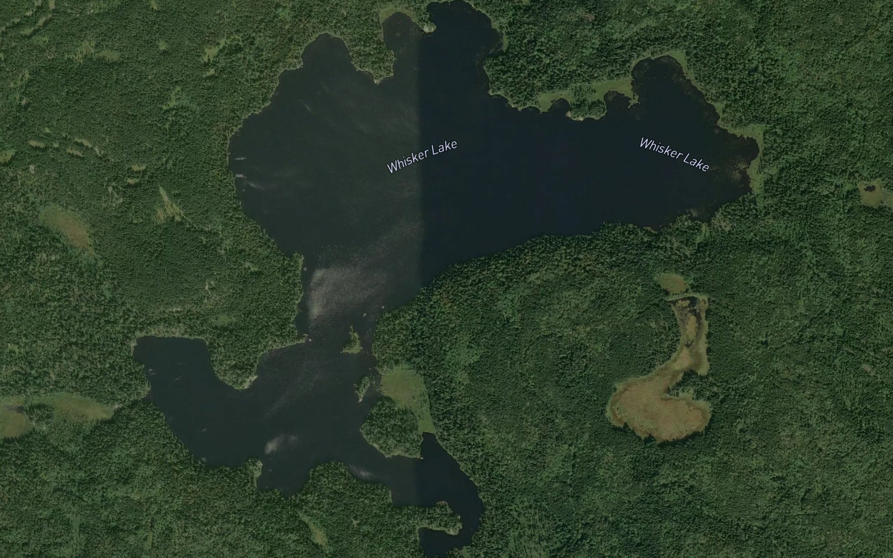 Satellite map of the Whisker Lake