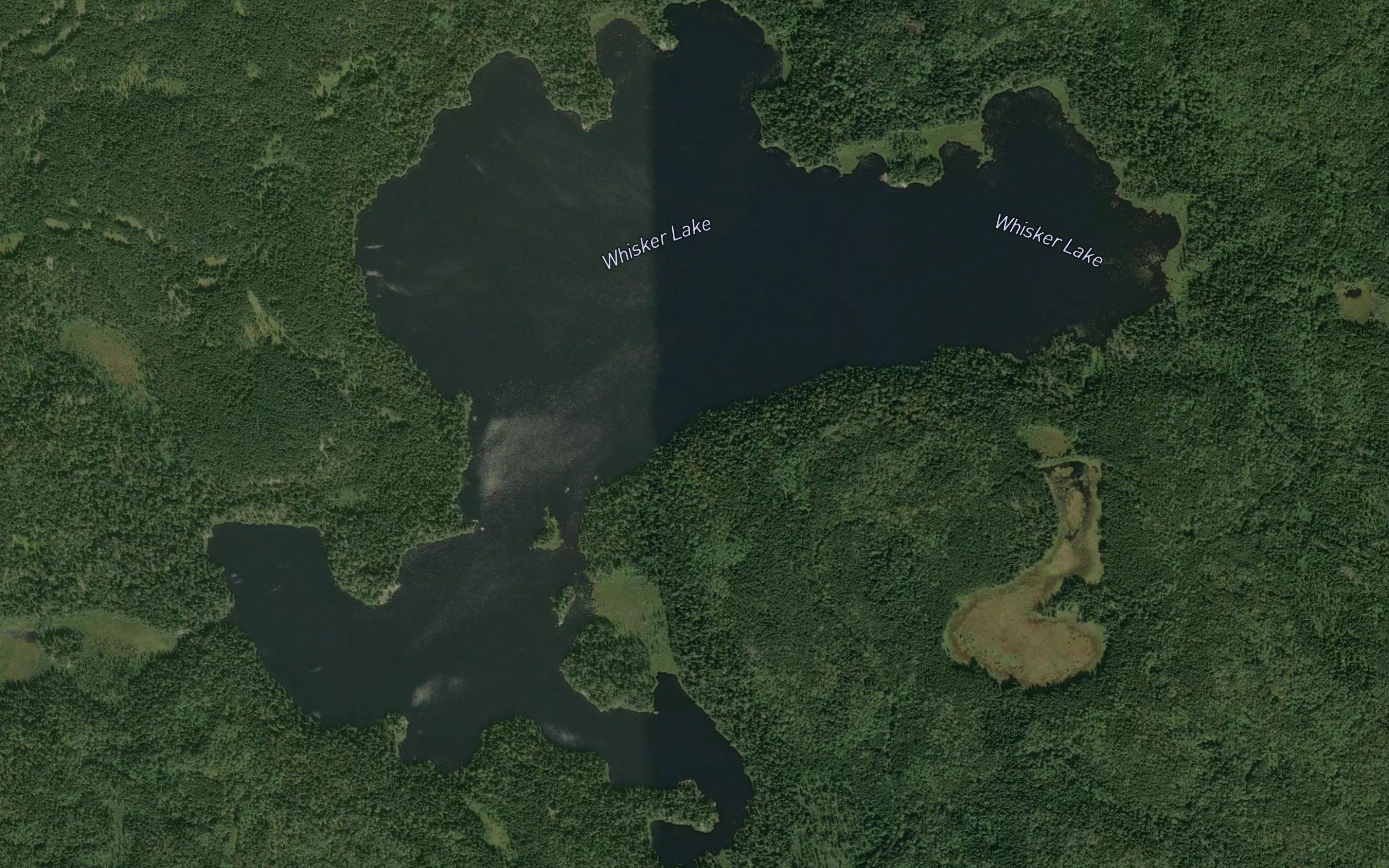 Whisker Lake