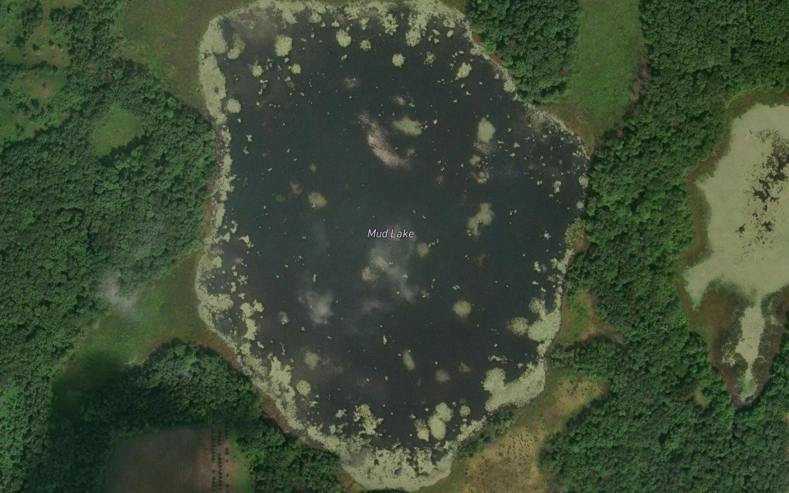 Mud Lake