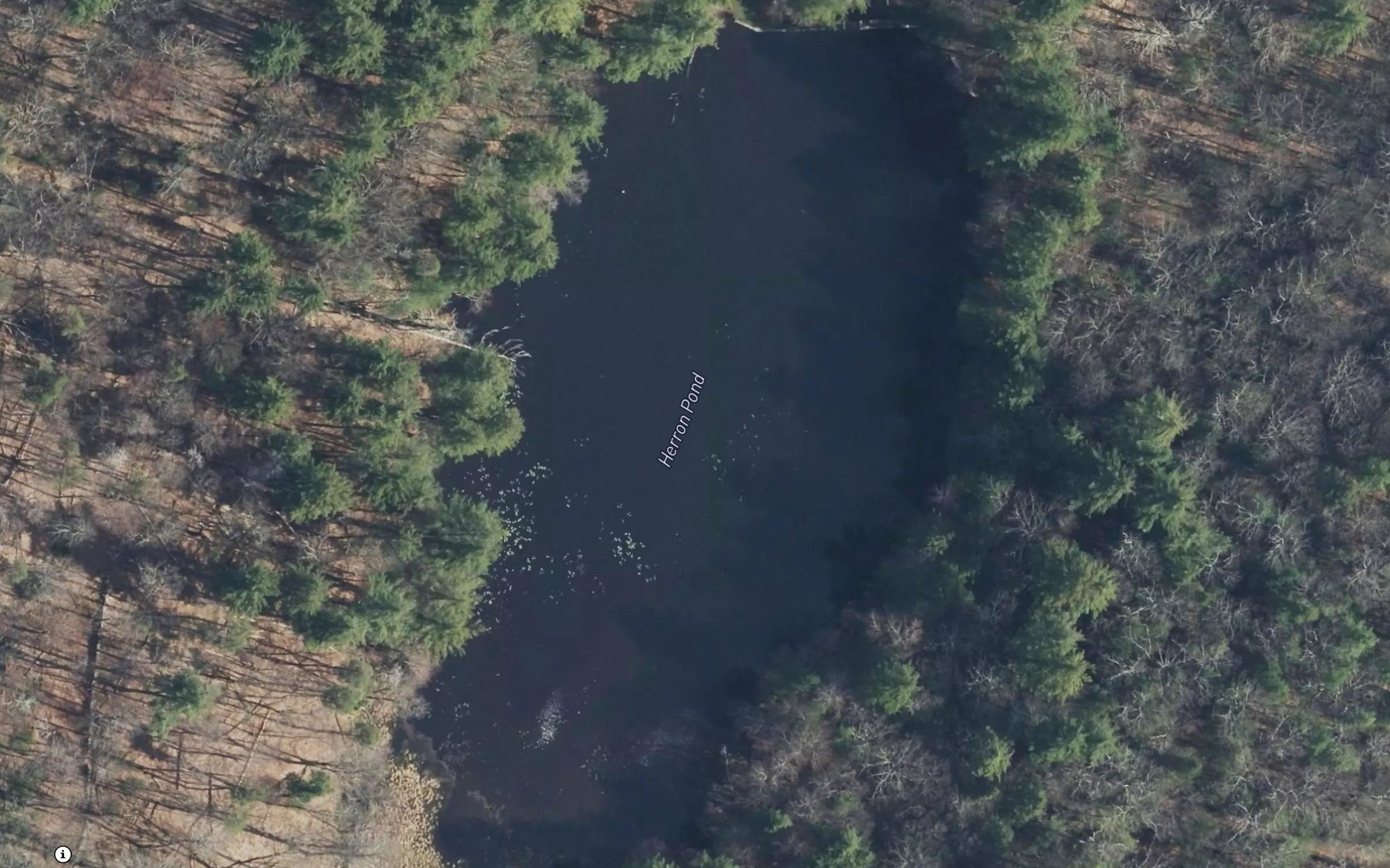 Satellite map of the Herron Pond