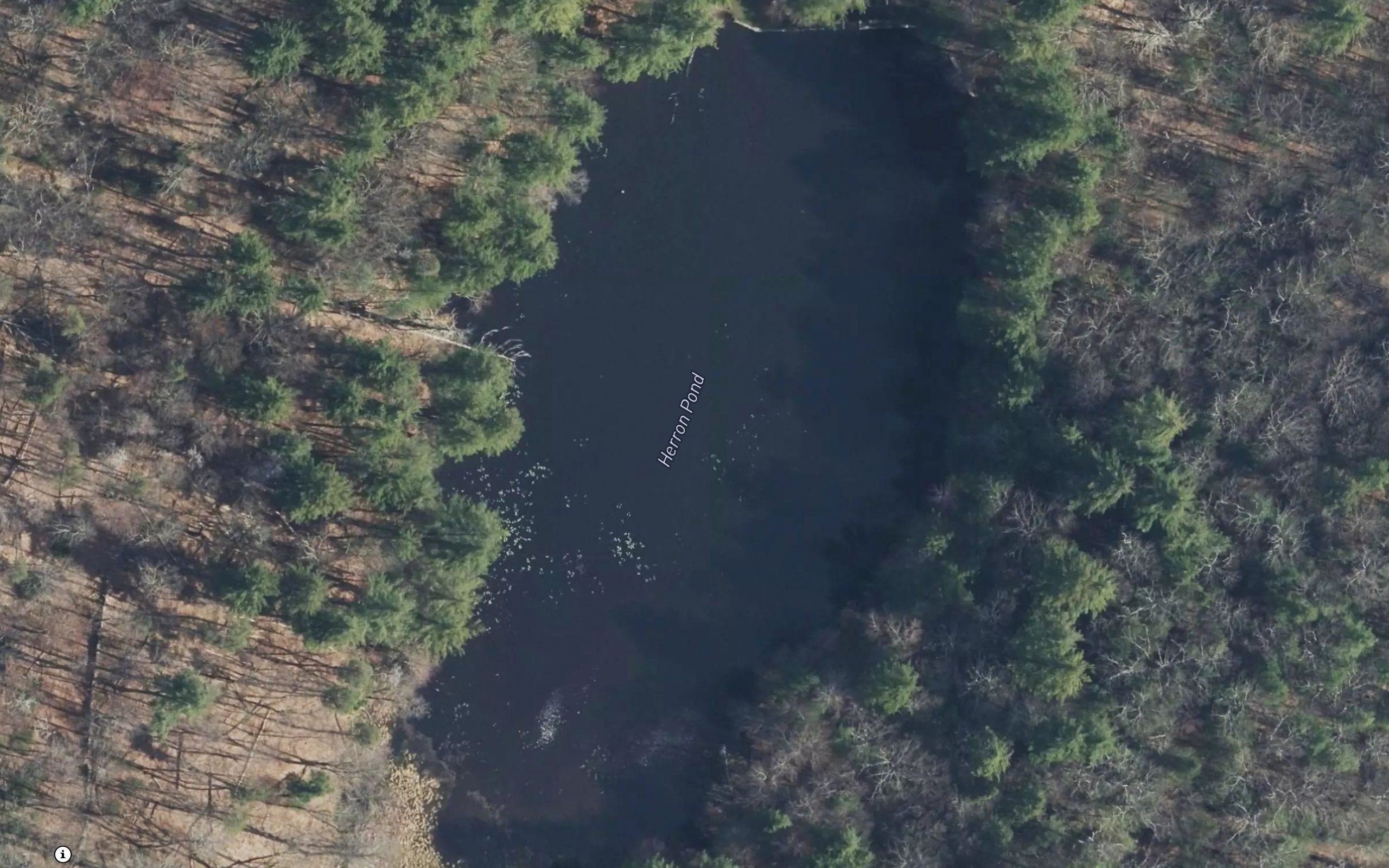 Herron Pond