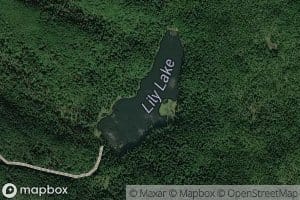 Lily Lake