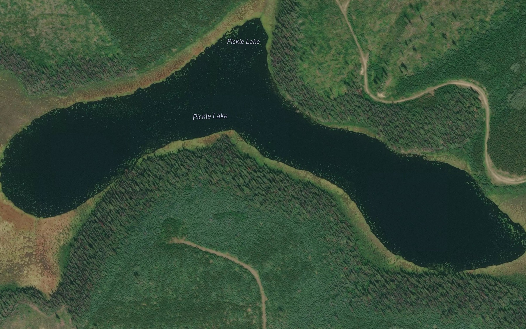 Satellite map of the Pickle Lake