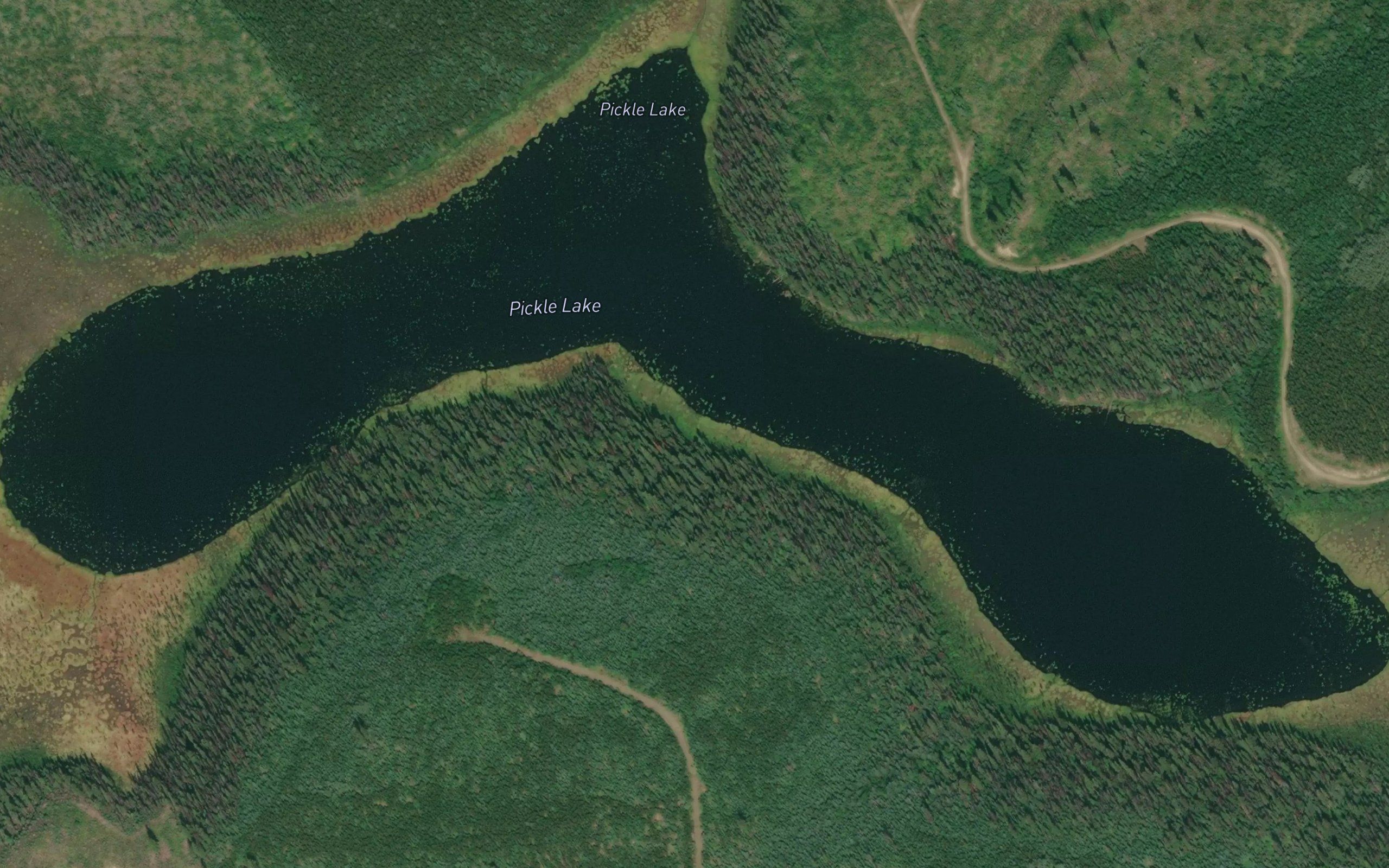 Pickle Lake