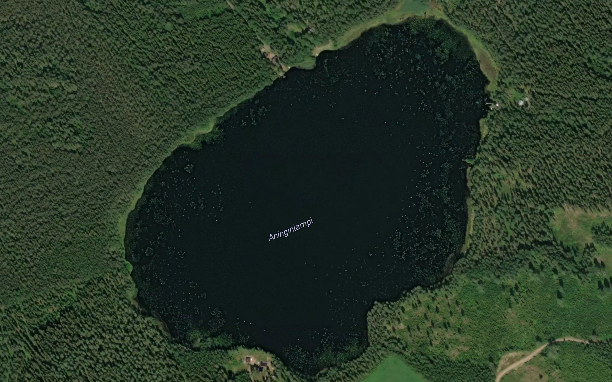 Aninginlampi
