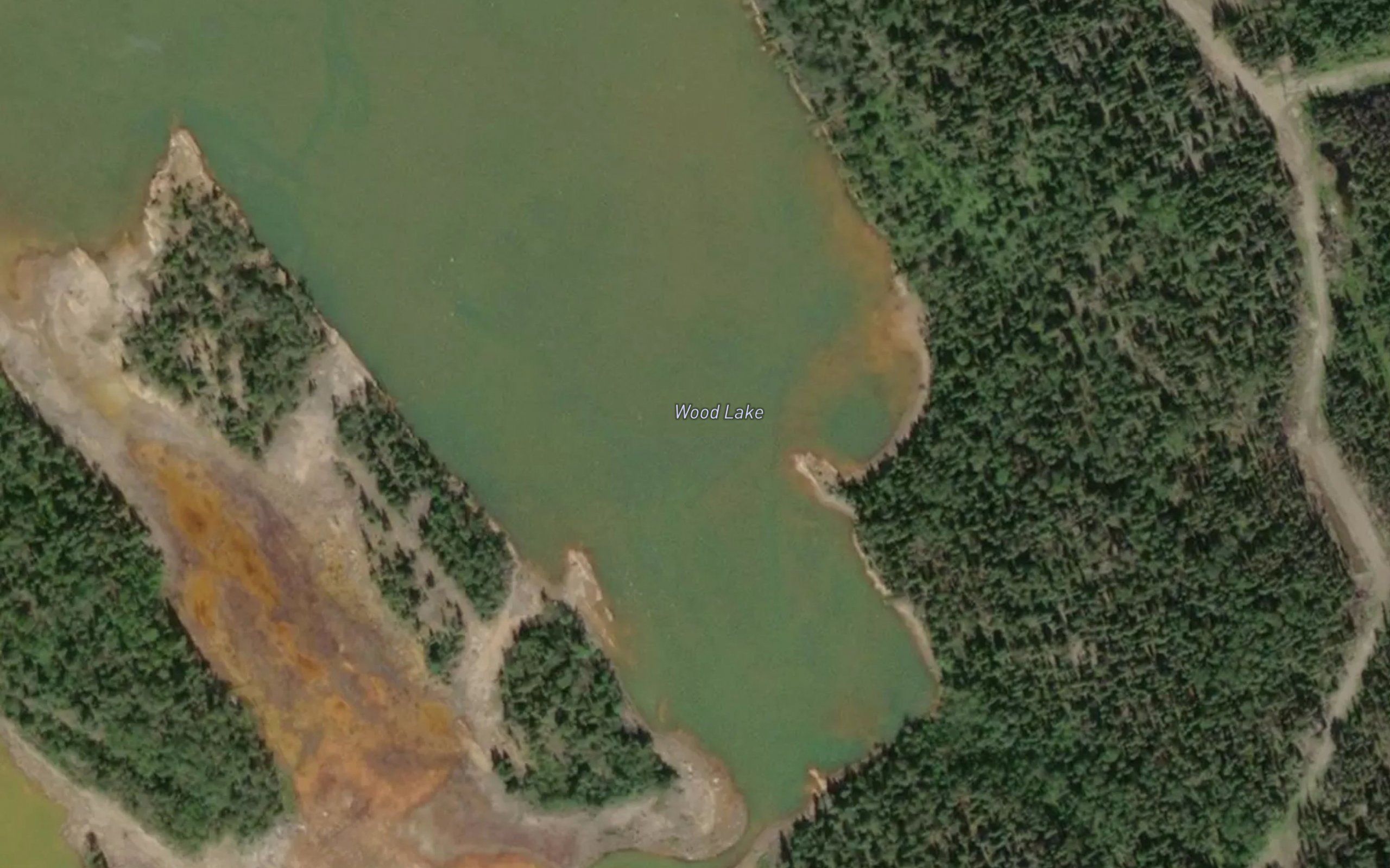 Wood Lake