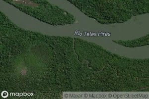 Ribeirao Taxidermista