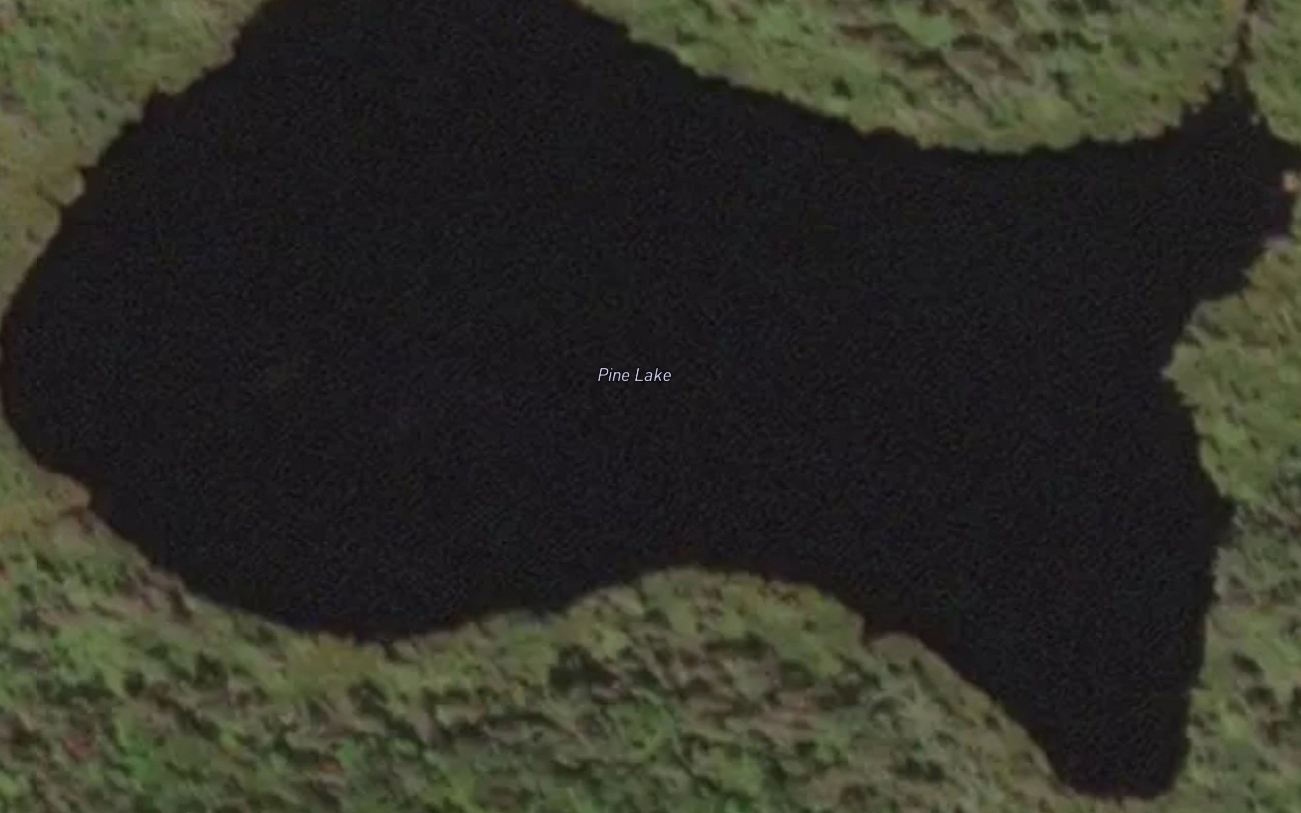 Pine Lake