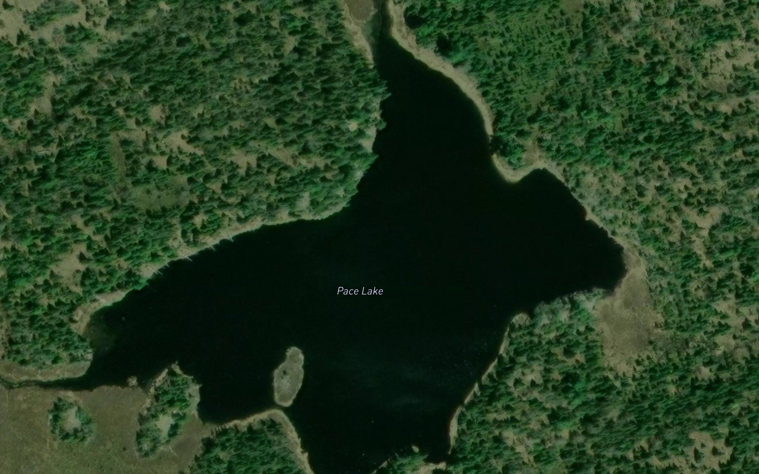 Pace Lake