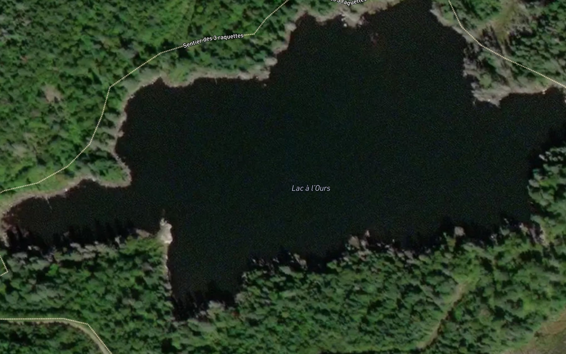 Satellite map of the Lac a l'Ours