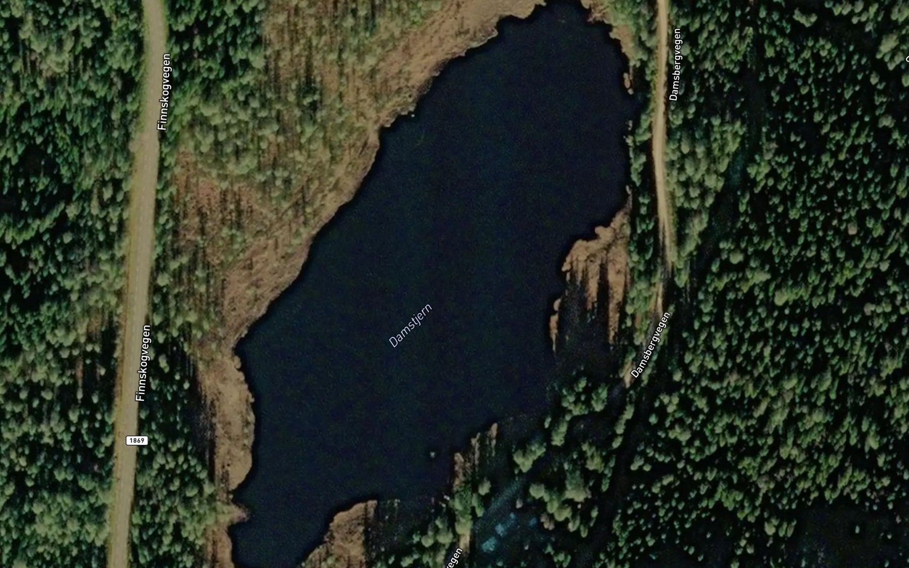 Satellite map of the Damstjern