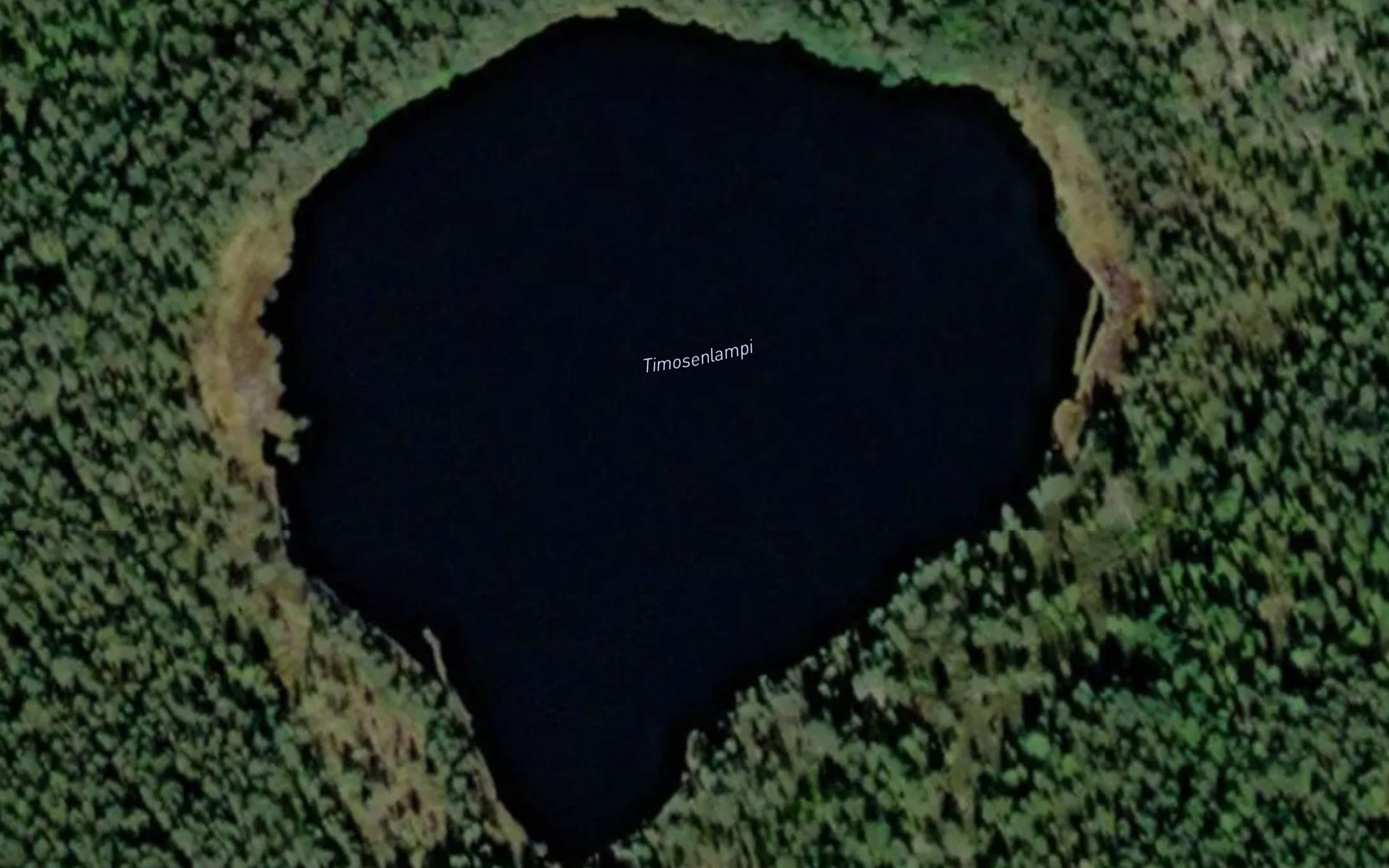 Timosenlampi