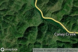 Coulter Branch