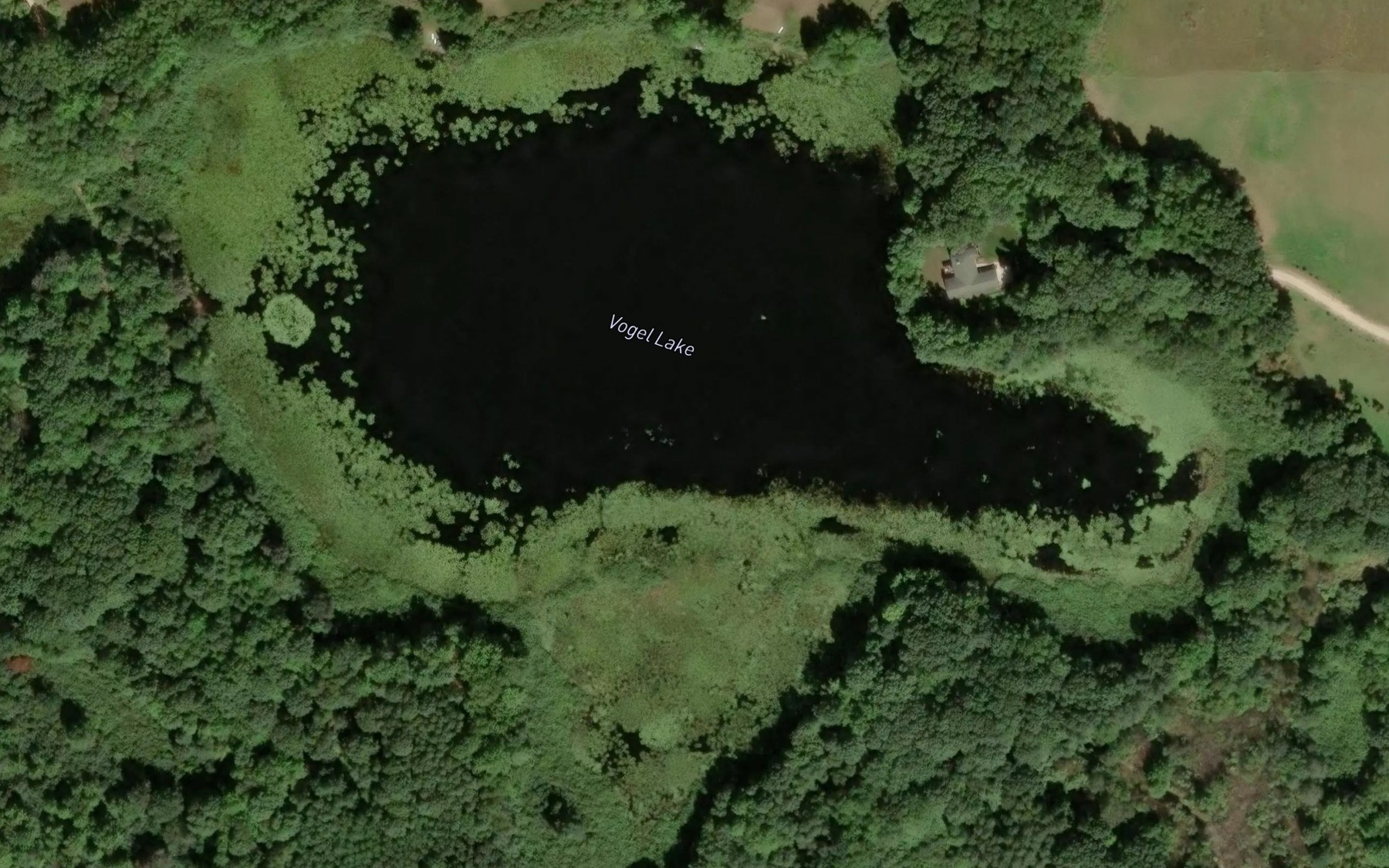 Satellite map of the Vogel Lake