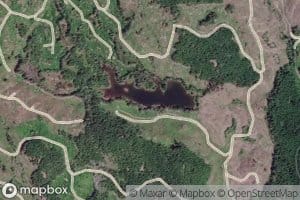 Marshy Lake