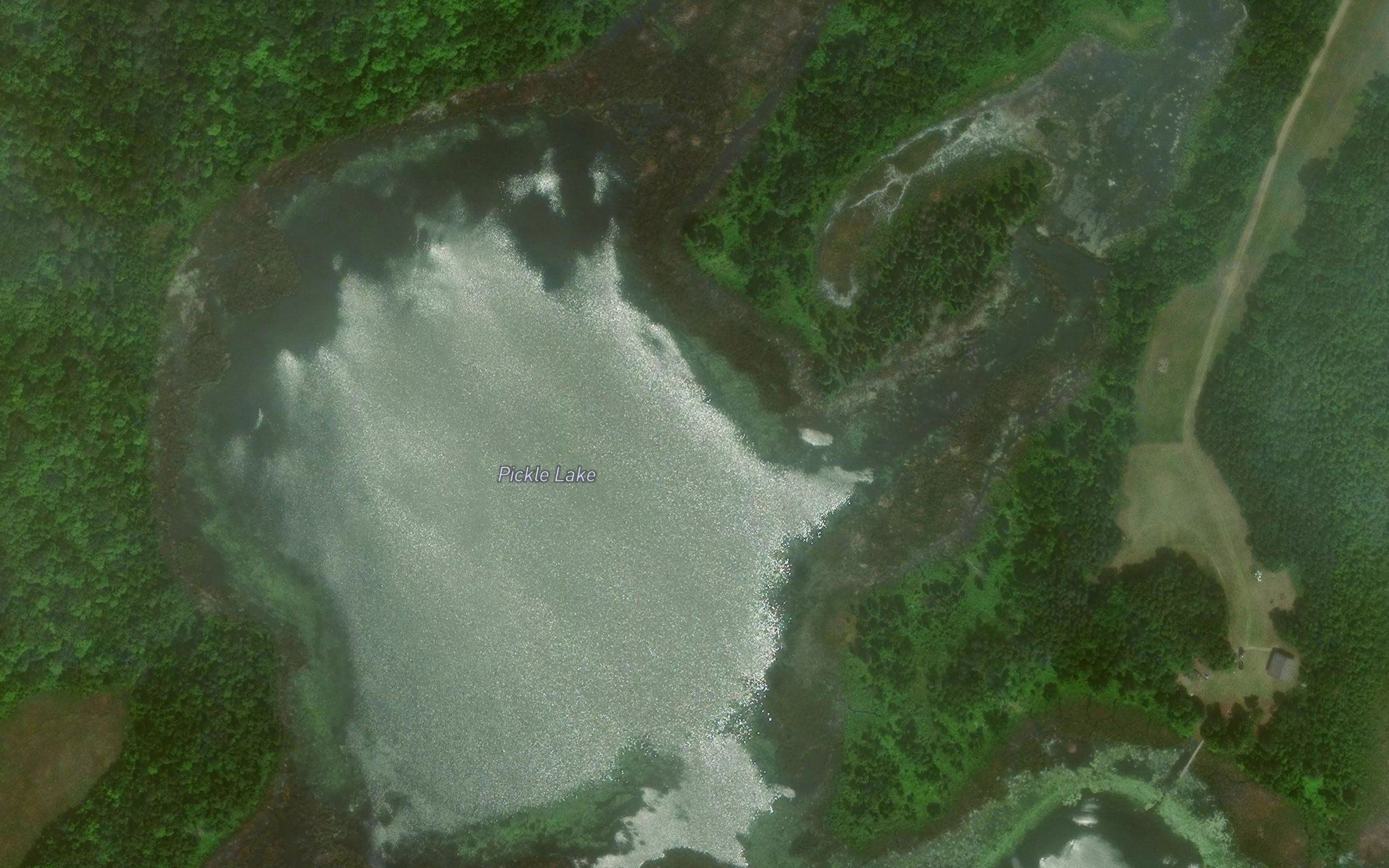 Pickle Lake