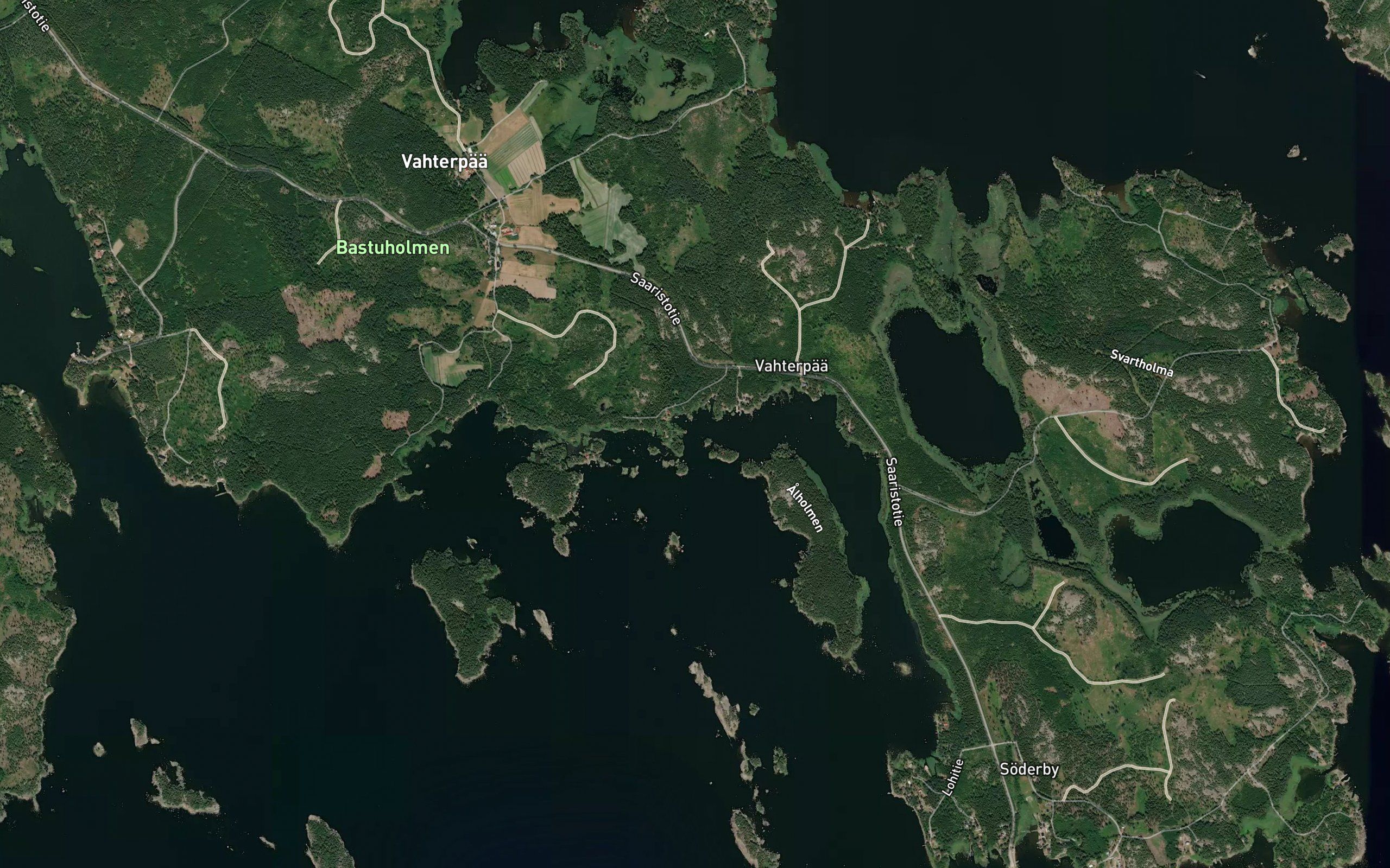 Grasviken