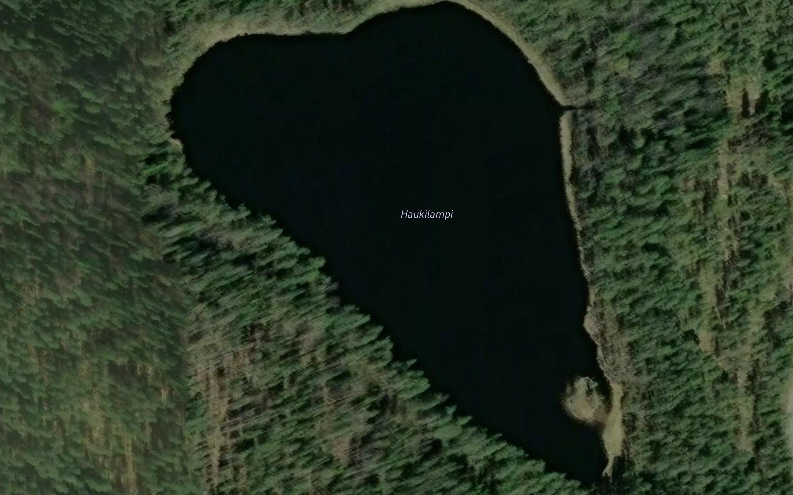 Haukilampi