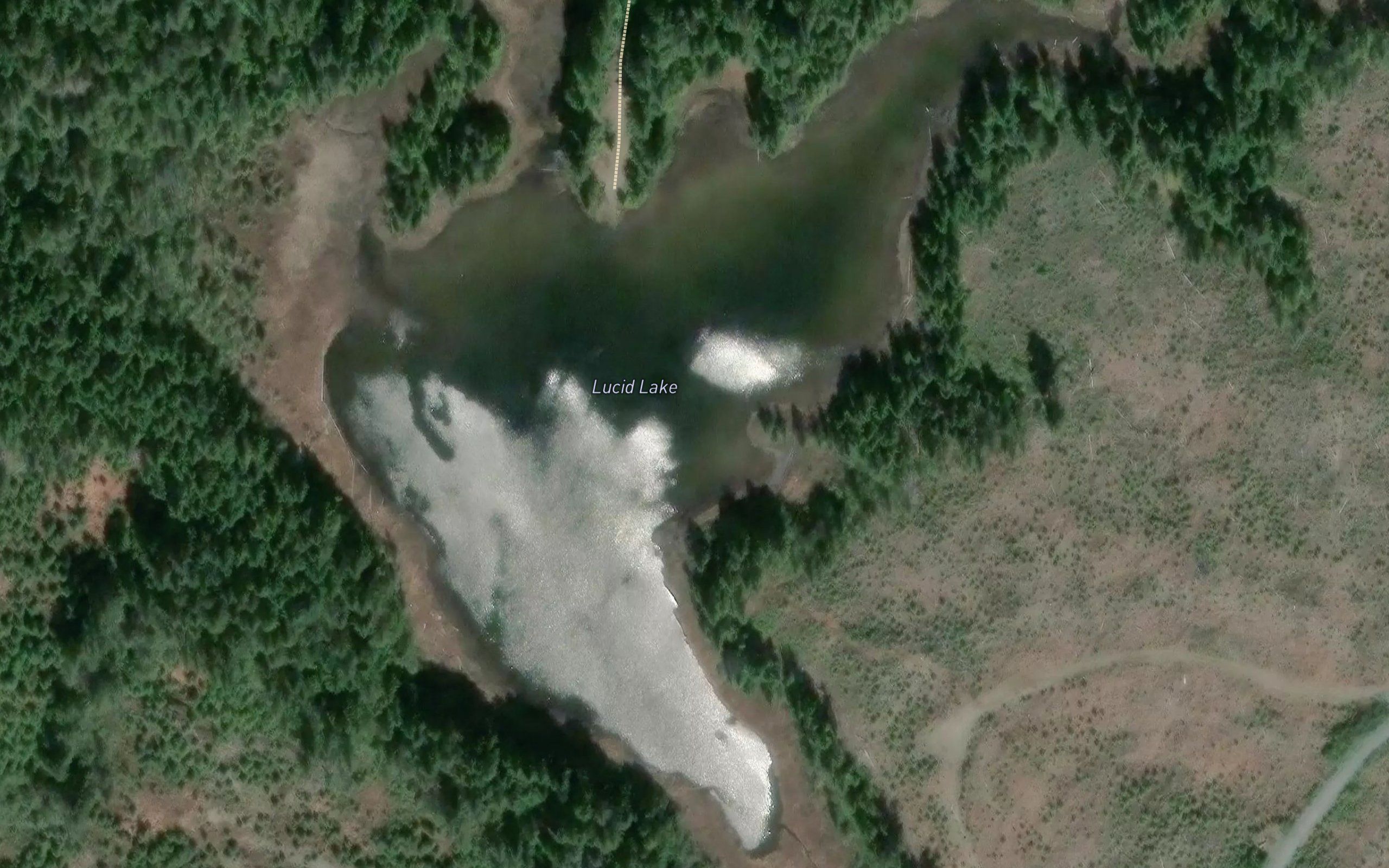 Lucid Lake