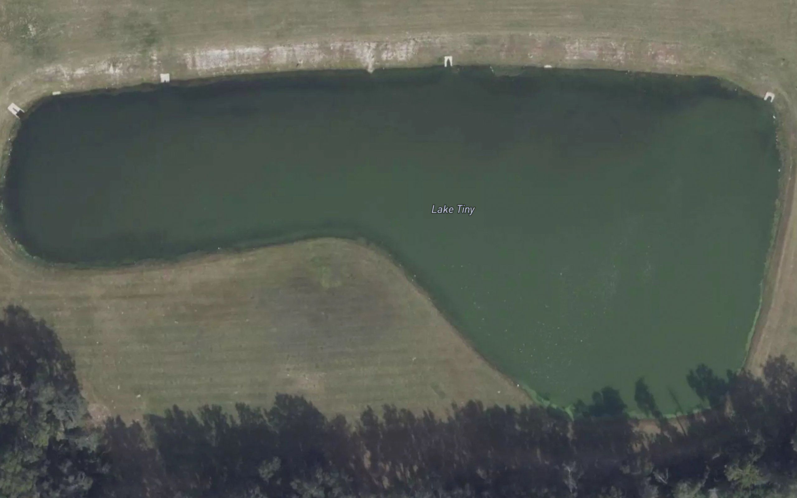 Lake Tiny