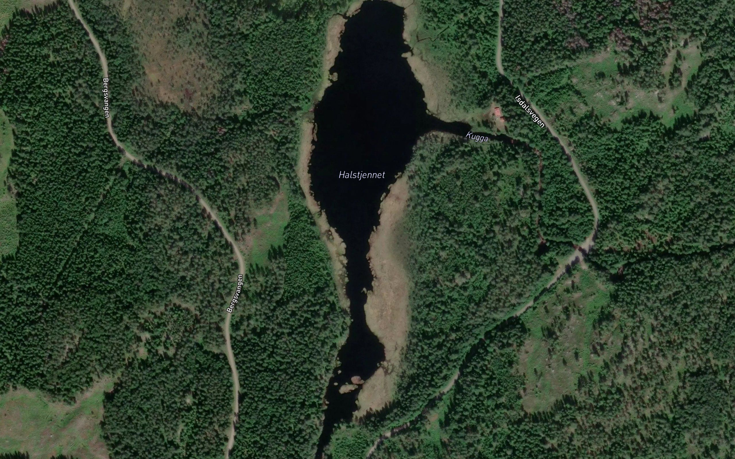 Haldstjernet