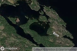 Oyntjorna