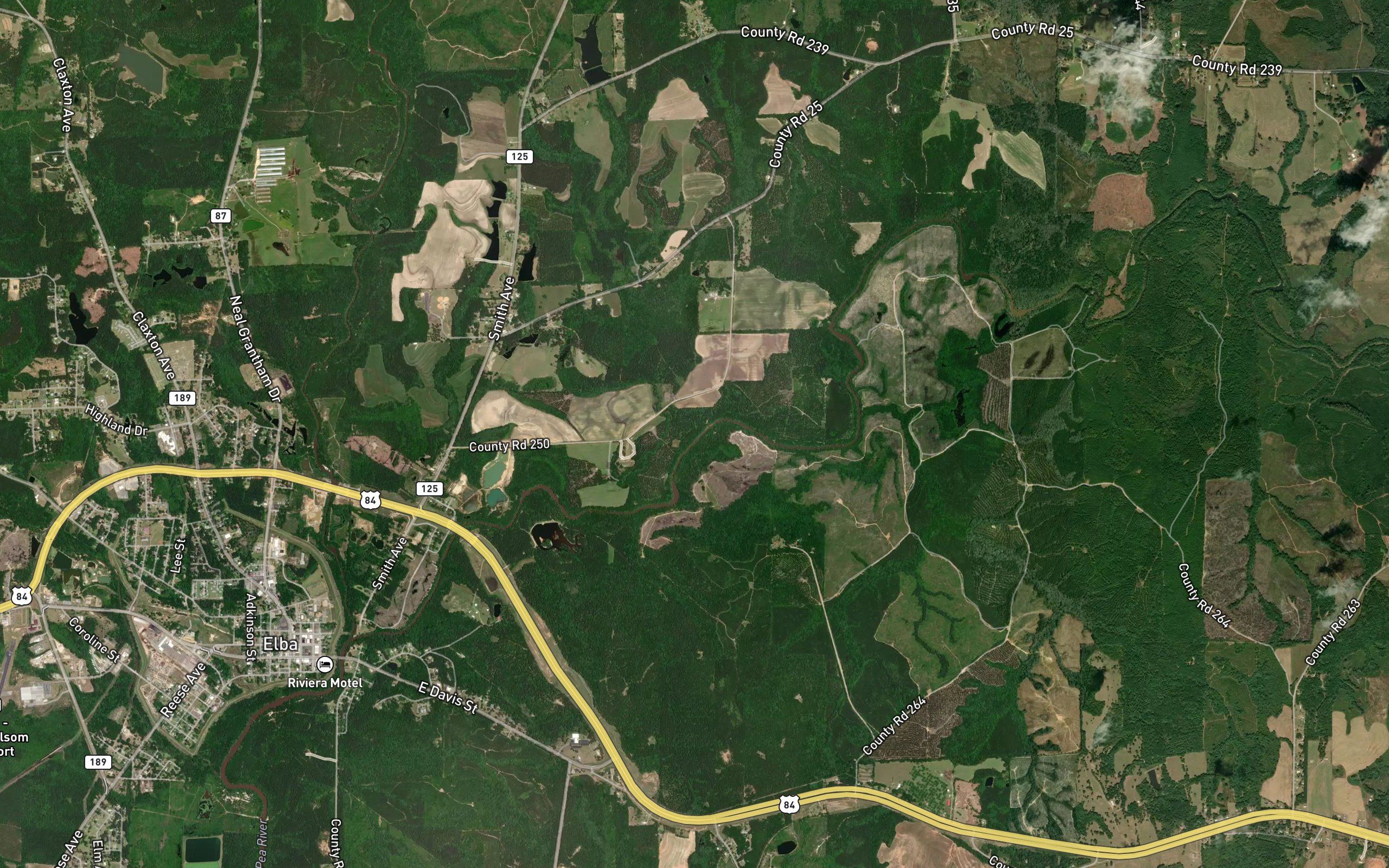 Morris Branch