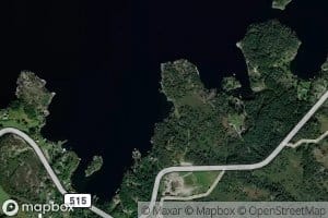 Forekamsvika