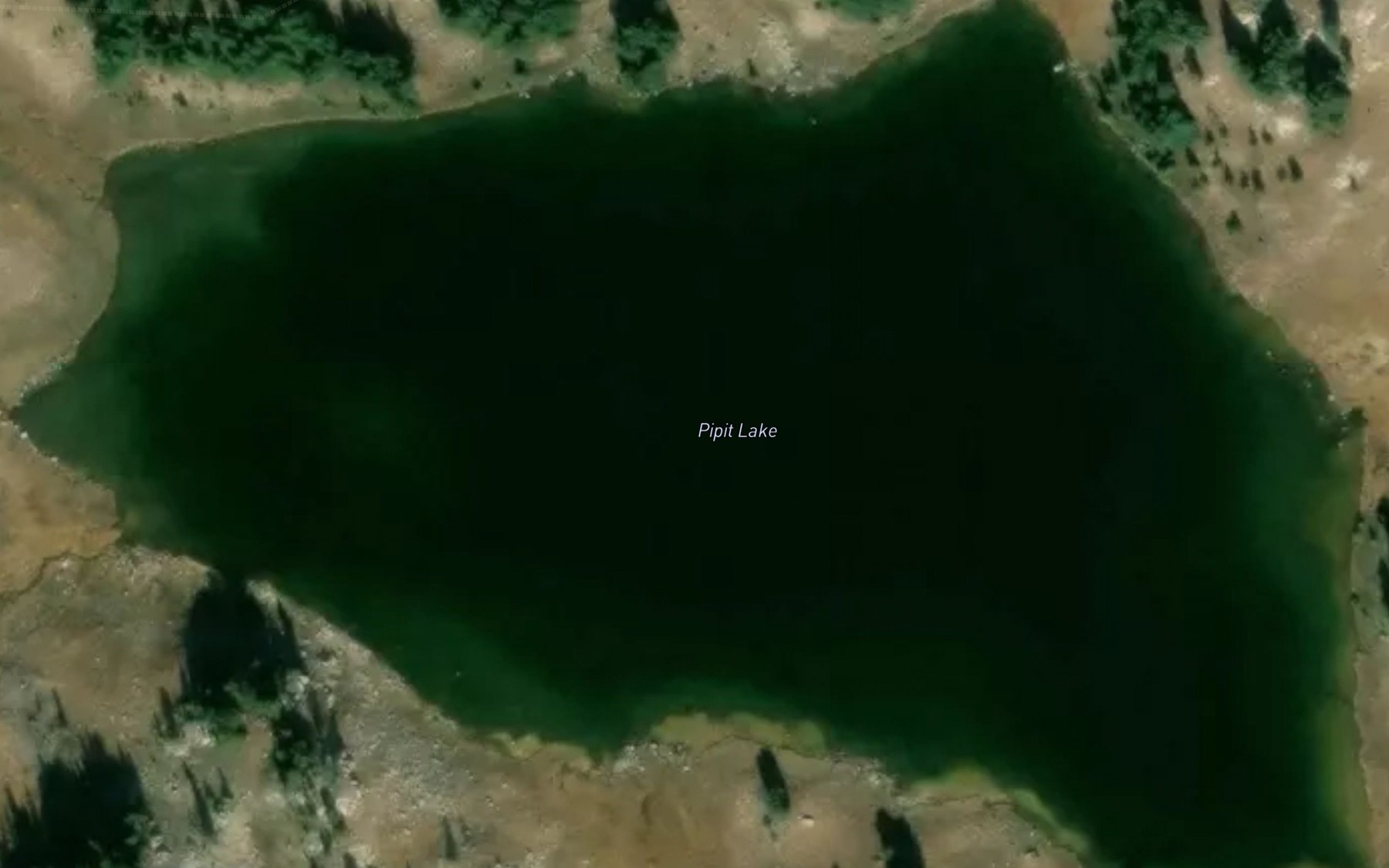 Satellite map of the Pipit Lake