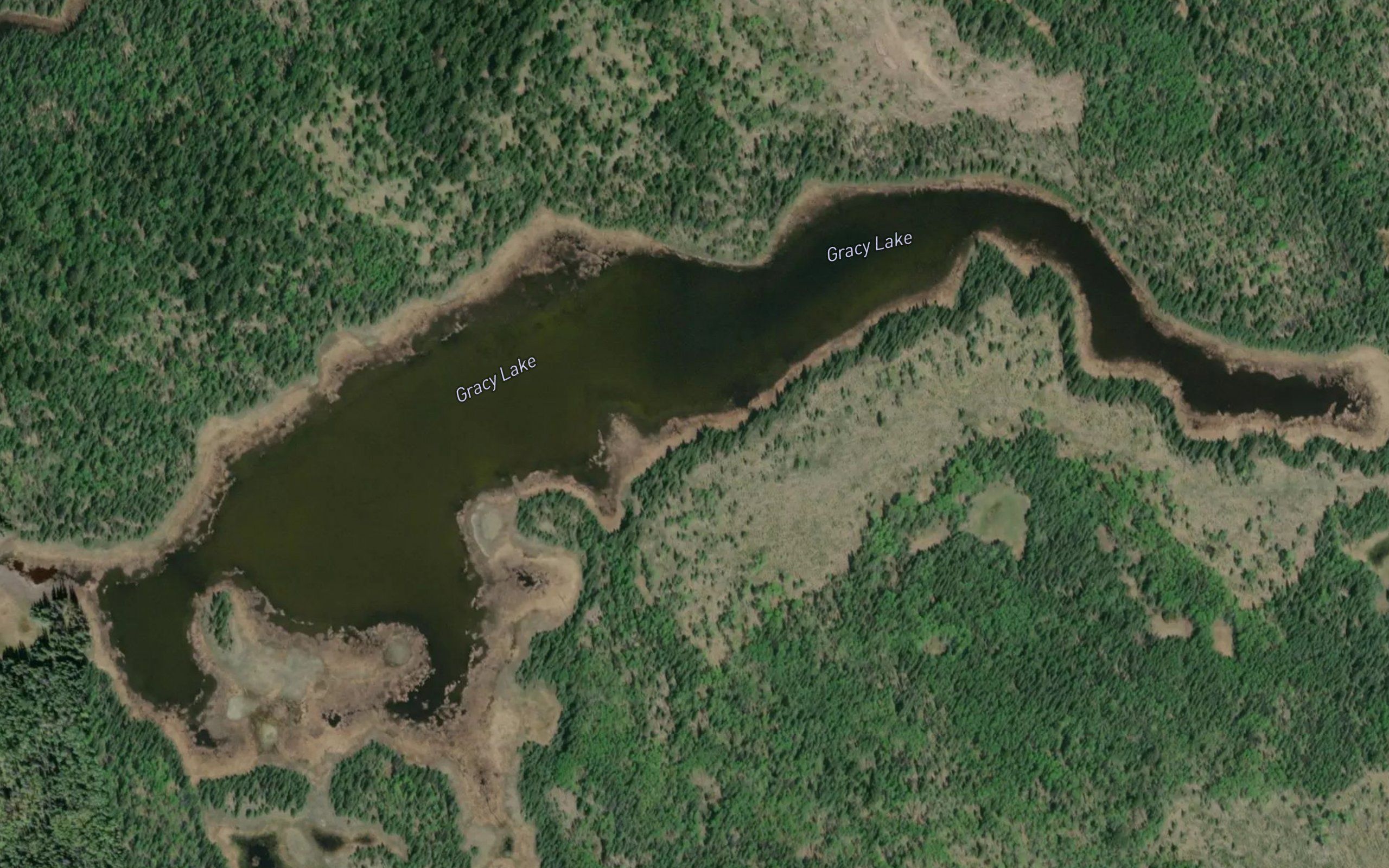 Gracy Lake