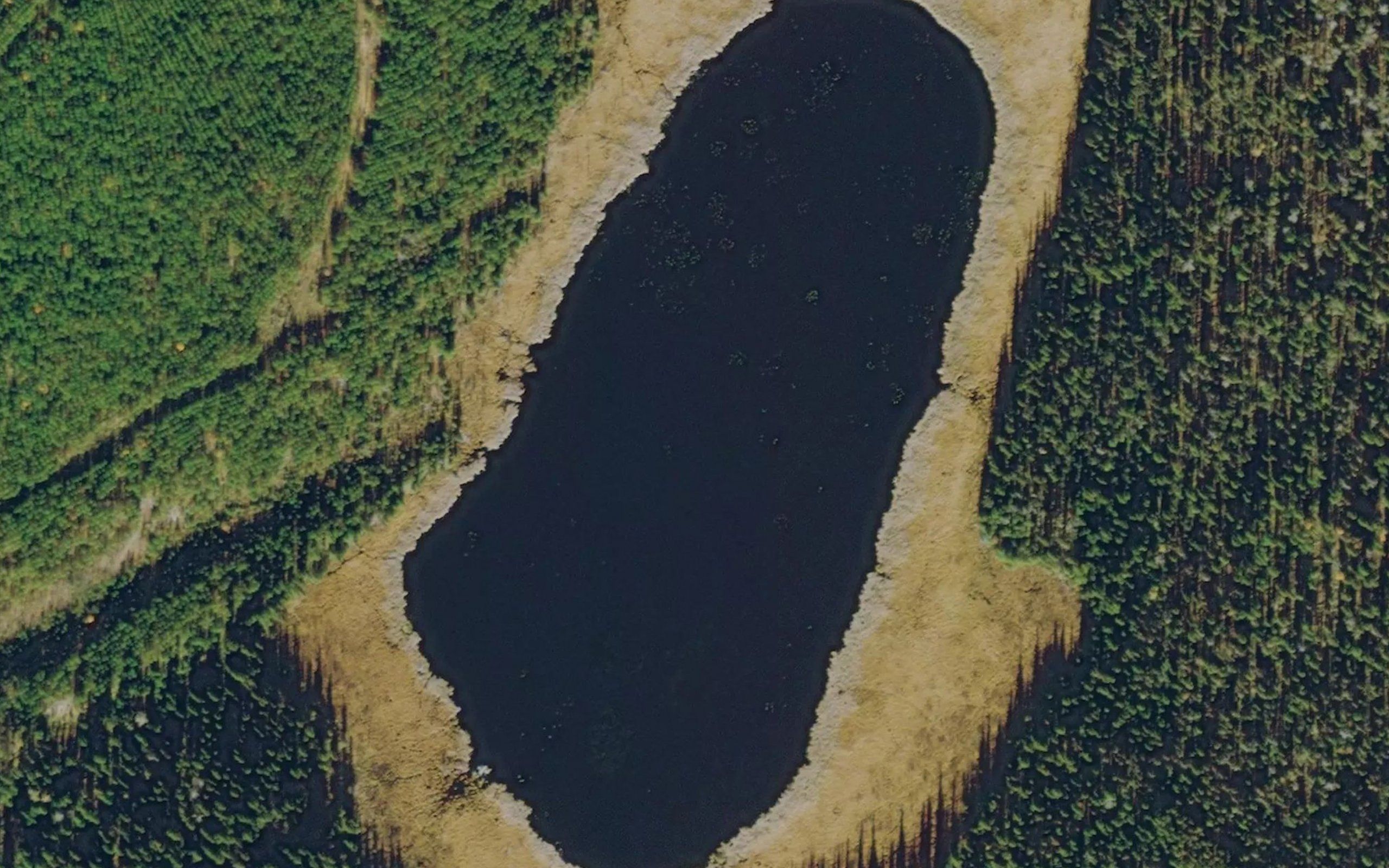 Lawrence Lake