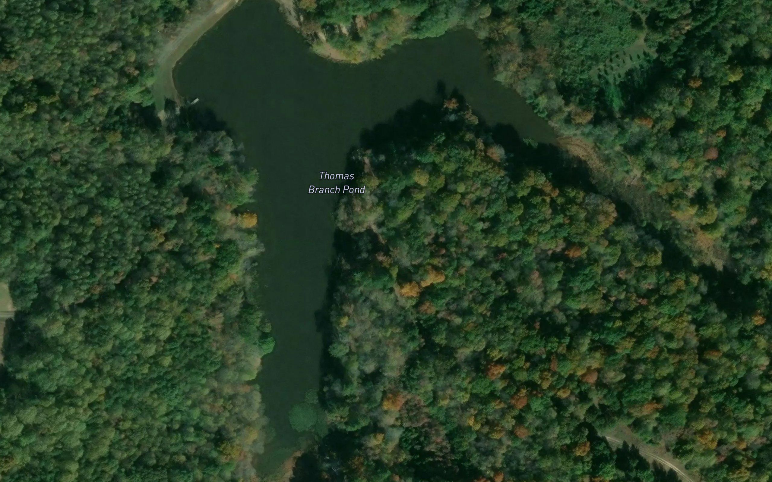 Thomas Branch Pond