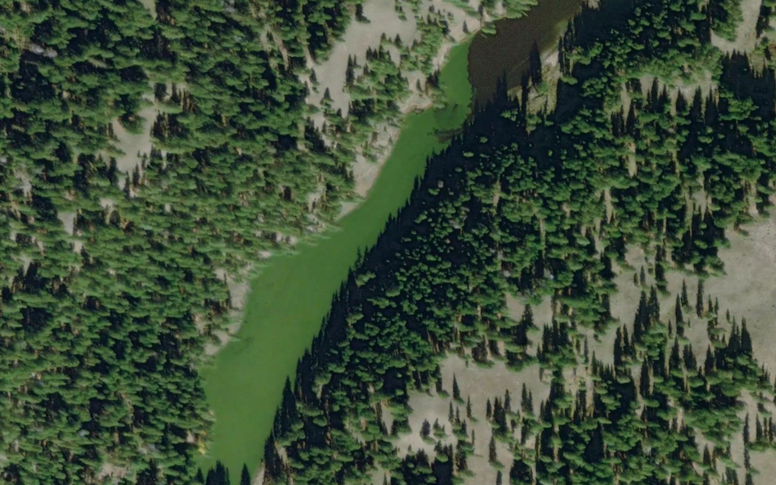 Tracey Lake