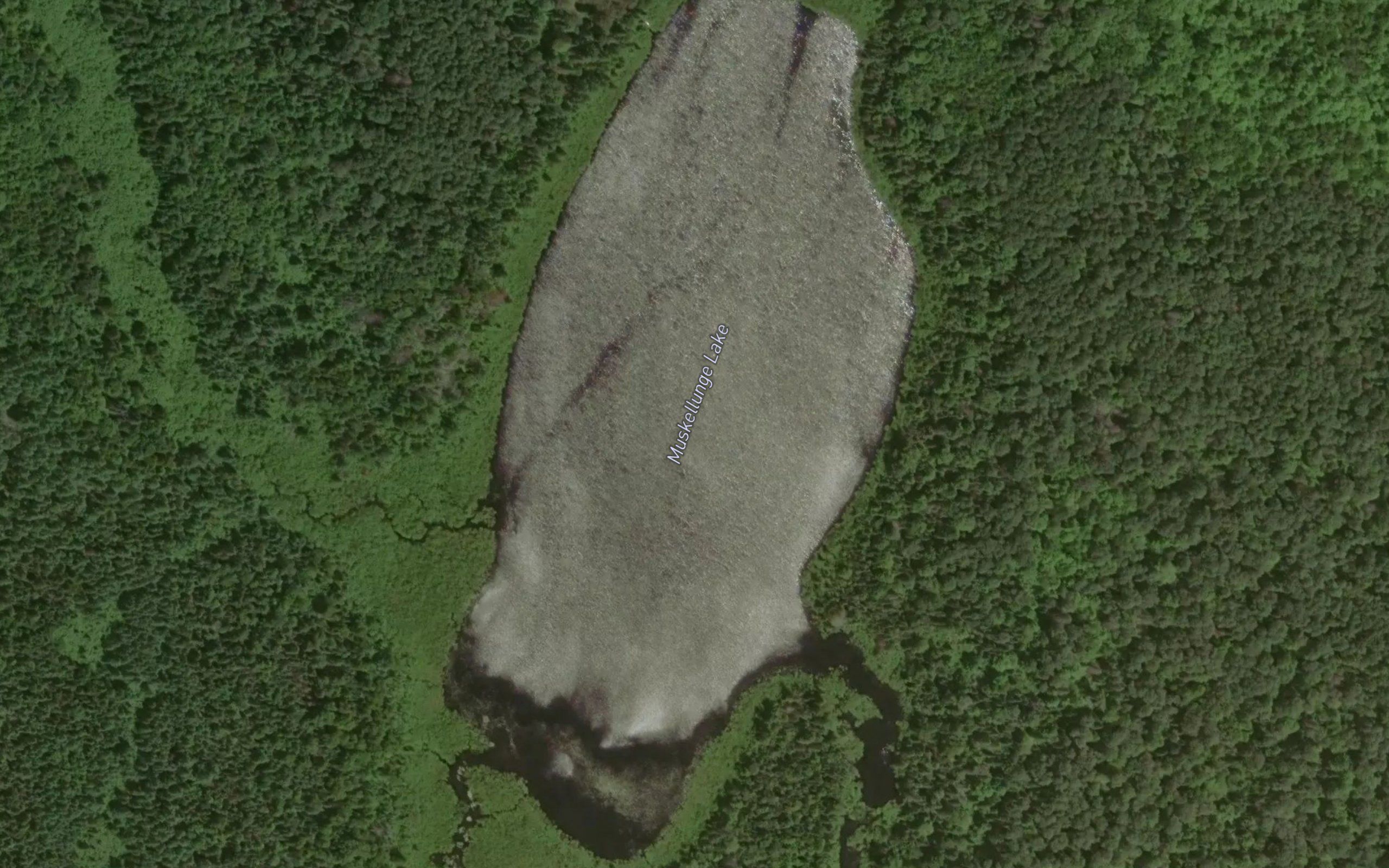 Muskellunge Lake