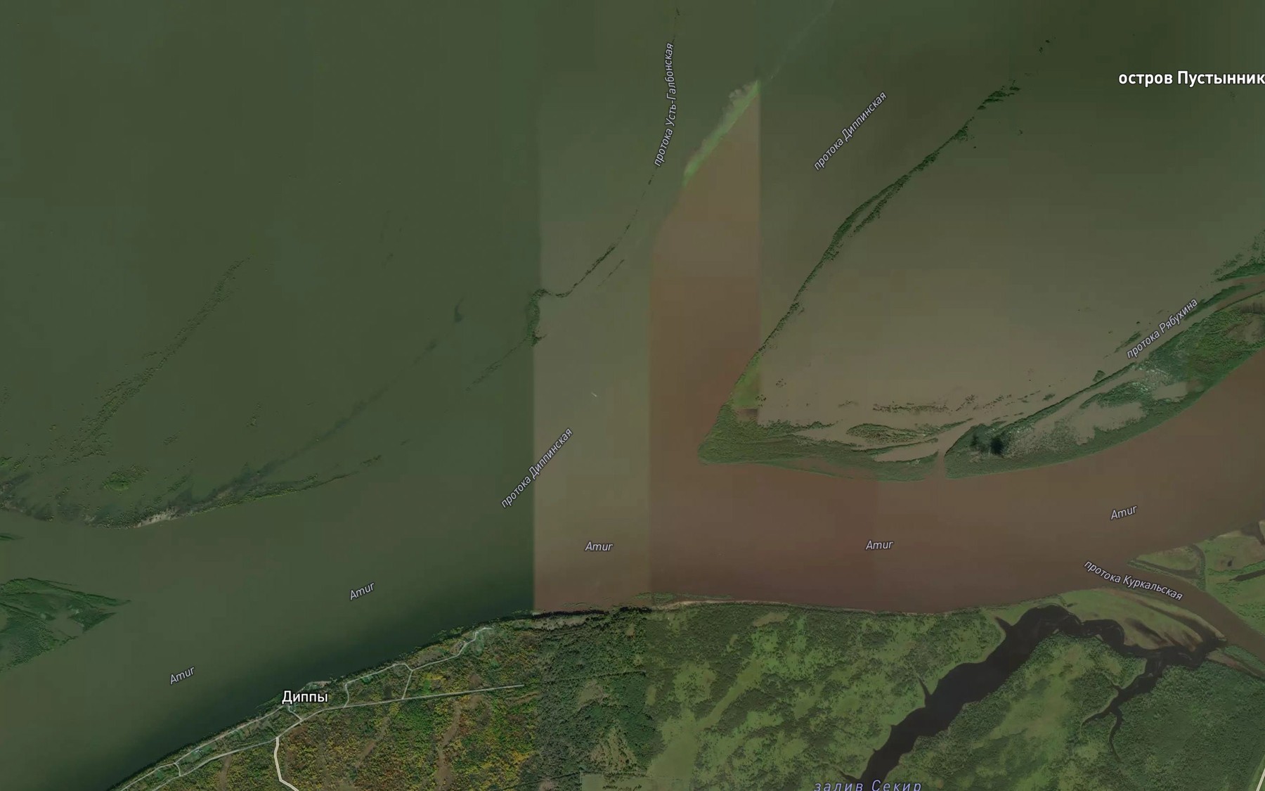 Satellite map of the Protoka Dippinskaya