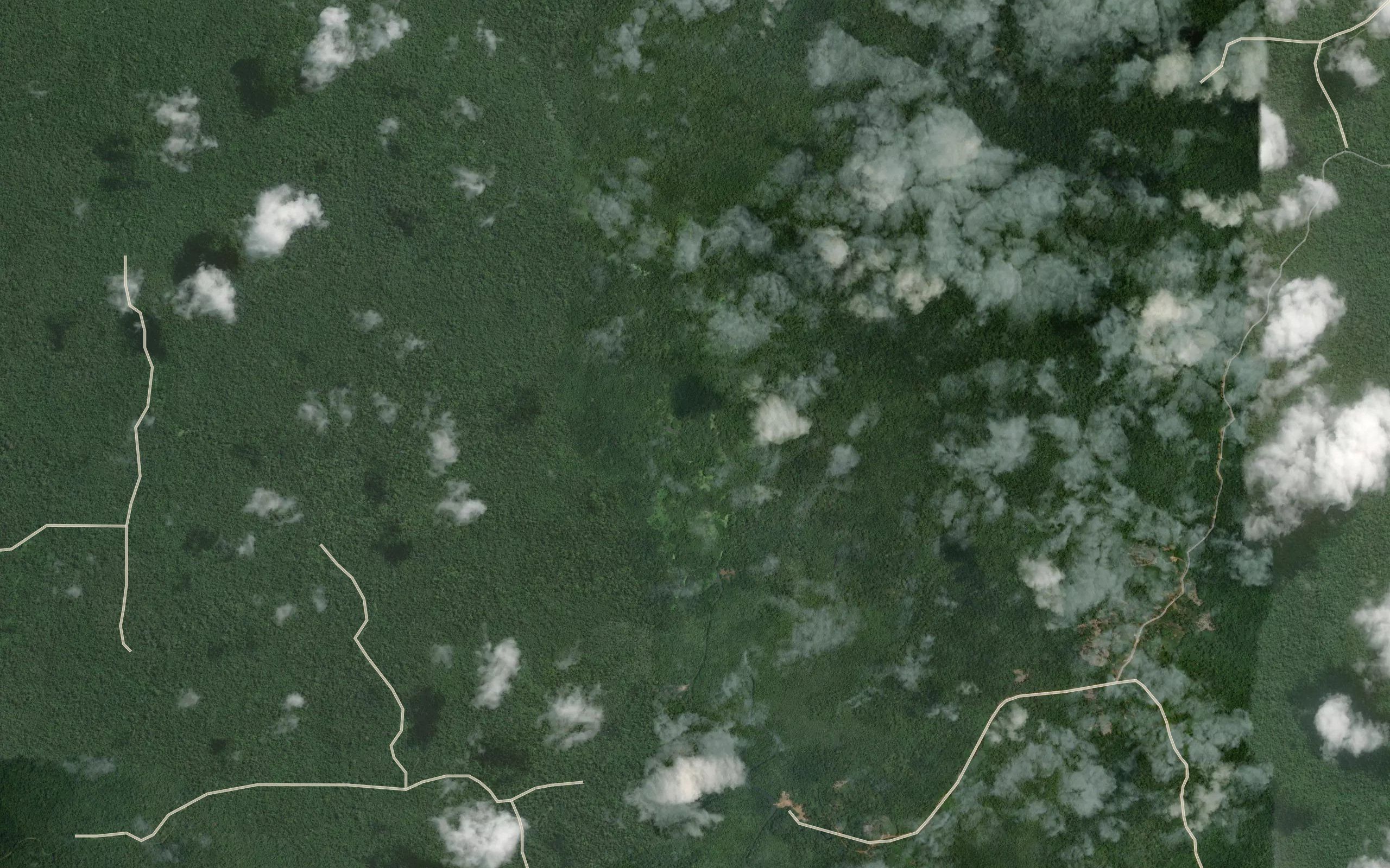 Bala